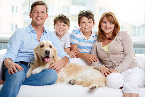 family dentist Los Alamitos, CA